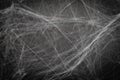 Cobweb on Black Background, Abstract Texture, Halloween Design, Spider Web Texture Royalty Free Stock Photo