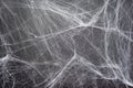 Cobweb on Grey Background, Abstract Texture, Halloween Design, Spider Web Texture Royalty Free Stock Photo