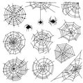 Cobweb. Halloween monochrome spiderweb and dangerous spider. Web silhouettes for creepy horror tattoo and decoration