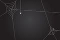 Cobweb, isolated on black, transparent background.Scary spider web vector illustration. White cobweb silhouette isolated on dark b Royalty Free Stock Photo