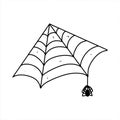 Cobweb with little spider. Hand drawn doodle style. Vector illustration isolated on white. Halloween element. Royalty Free Stock Photo