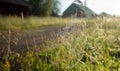 Cobweb on meadow grass near road close up on village backdrop at dawn. Selective focus. Royalty Free Stock Photo