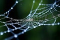 cobweb pattern recognition explore the repeating patterns and st