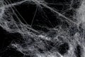 Isolated cobweb overlay