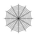 Cobweb. Spider`s web