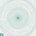 Cobweb or spider web. Network abstract background. Connection Structure. 3D technology style. Wireframe vector illustration Royalty Free Stock Photo