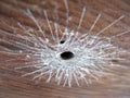 Cobweb, spiderweb, spider`s web on wooden background