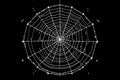 cobweb text create an ascii art representation of a cobweb using