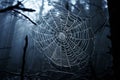 cobweb and urban legends use a cobweb to create a visual represe