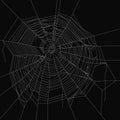 Cobweb vector decorative element. Spiderweb object on isolated background.