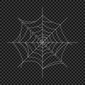 Cobweb. Vector spider web. Design elements on an isolated transparent background. Royalty Free Stock Photo