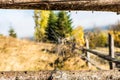 Cobweb between woodern frame Royalty Free Stock Photo