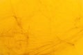 Cobweb on Yellow Background, Abstract Texture, Halloween Design, Spider Web Texture Royalty Free Stock Photo