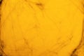 Cobweb on Yellow Background, Abstract Texture, Halloween Design, Spider Web Texture Royalty Free Stock Photo