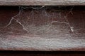 Cobwebs On An Ancient Wooden Wall Royalty Free Stock Photo