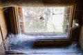 cobwebs on closed window of wooden village house Royalty Free Stock Photo