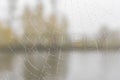 Cobwebs with raindrops on the fence Royalty Free Stock Photo
