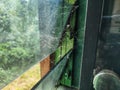 Cobwebs stuck between the windows and bookcases filled with dust