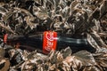 Cocacola on leaves