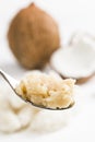 Cocada (coconut sweet) Royalty Free Stock Photo