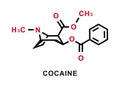 Cocaine chemical formula. Cocaine chemical molecular structure. Vector illustration