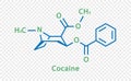 Cocaine chemical formula. Cocaine structural chemical formula isolated on transparent background.