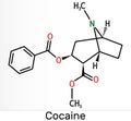 Cocaine, coke, coca molecule. It is tropane alkaloid with central nervous systems CNS stimulating, local anesthetic,