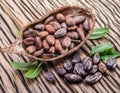 Cocao pod and cocao beans. Royalty Free Stock Photo