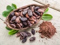 Cocao pod and cocao beans. Royalty Free Stock Photo