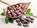 Cocao pod and cocao beans.