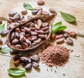Cocao pod and cocao beans. Royalty Free Stock Photo