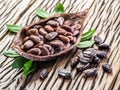 Cocao pod and cocao beans.