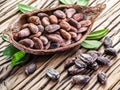 Cocao pod and cocao beans.