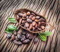 Cocao pod and cocao beans. Royalty Free Stock Photo