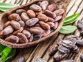 Cocao pod and cocao beans on the wooden table.