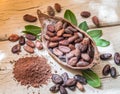 Cocao powder and cocao beans on the wood.