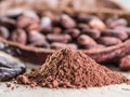 Cocao powder and cocao beans. Royalty Free Stock Photo