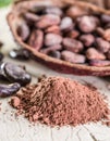 Cocao powder and cocao beans.