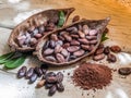 Cocao powder and cocao beans. Royalty Free Stock Photo