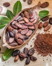 Cocao powder and cocao beans.