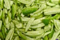 Coccinia grandis, ivy gourd known as scarlet gourd, Indian tindora, tindi, tendli and kowai fruit. Sliced, Diced Royalty Free Stock Photo