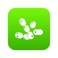 Coccus bacilli icon green vector