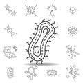 coccus bacteria education line icon. element of bacterium virus illustration icons. signs symbols can be used for web logo mobile