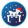 Pelvis bone and Christmas cap, snow. Vector flat design for radiology orthopedic research hospital Royalty Free Stock Photo