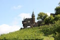 The Cochem Imperial Castle (Reichsburg), Germany. Royalty Free Stock Photo