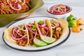 Cochinita Pibil, Mexican tacos Mayan cuisine from Yucatan Mexico