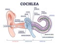 Cochlea ear anatomical structure with organ parts description outline diagram Royalty Free Stock Photo