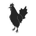 Cock of animal black vector icon.Black vector illustration rooster. Isolated illustration of cock rooster icon on white Royalty Free Stock Photo