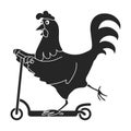 Cock of animal black vector icon.Black vector illustration rooster. Isolated illustration of cock rooster icon on white Royalty Free Stock Photo