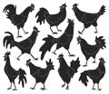 Cock of animal isolated black set icon.Vector illustration set rooster cockerel.Vector black icon cock of animal. Royalty Free Stock Photo
